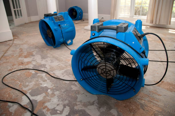 Best Basement water damage restoration  in Fort Montgomery, NY
