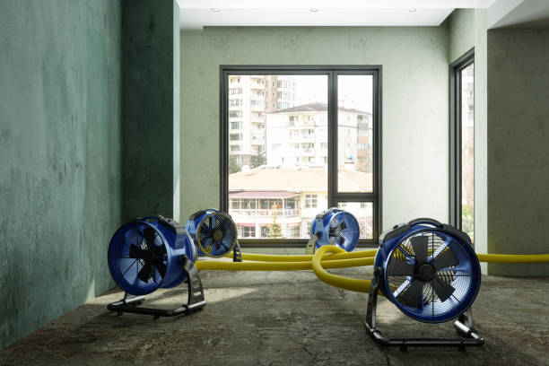 Best 24-hour water damage restoration  in Fort Montgomery, NY